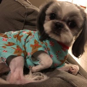 Meet your Posher, Jodi